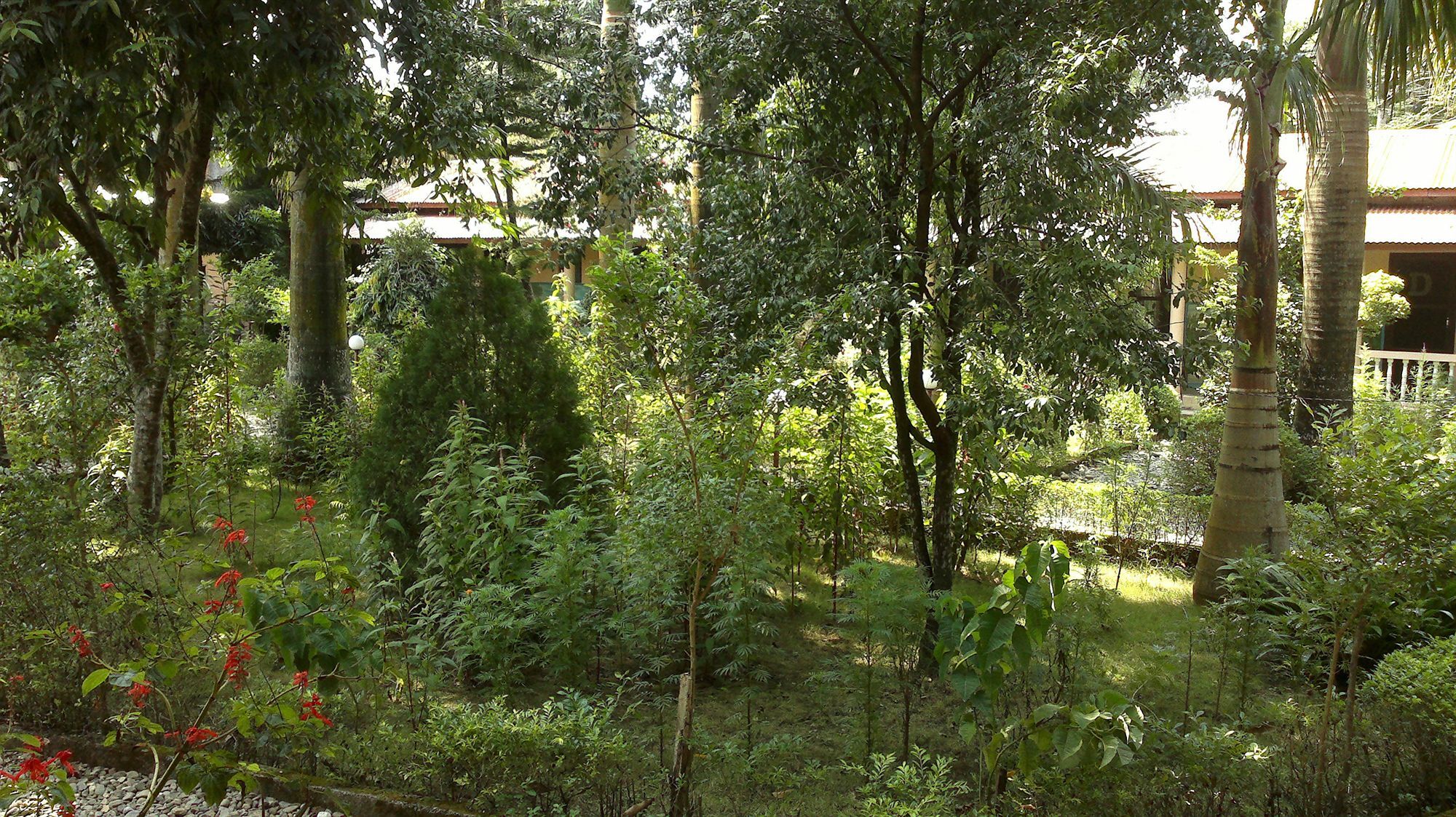 Hotel Ama Garden Sauraha Zewnętrze zdjęcie
