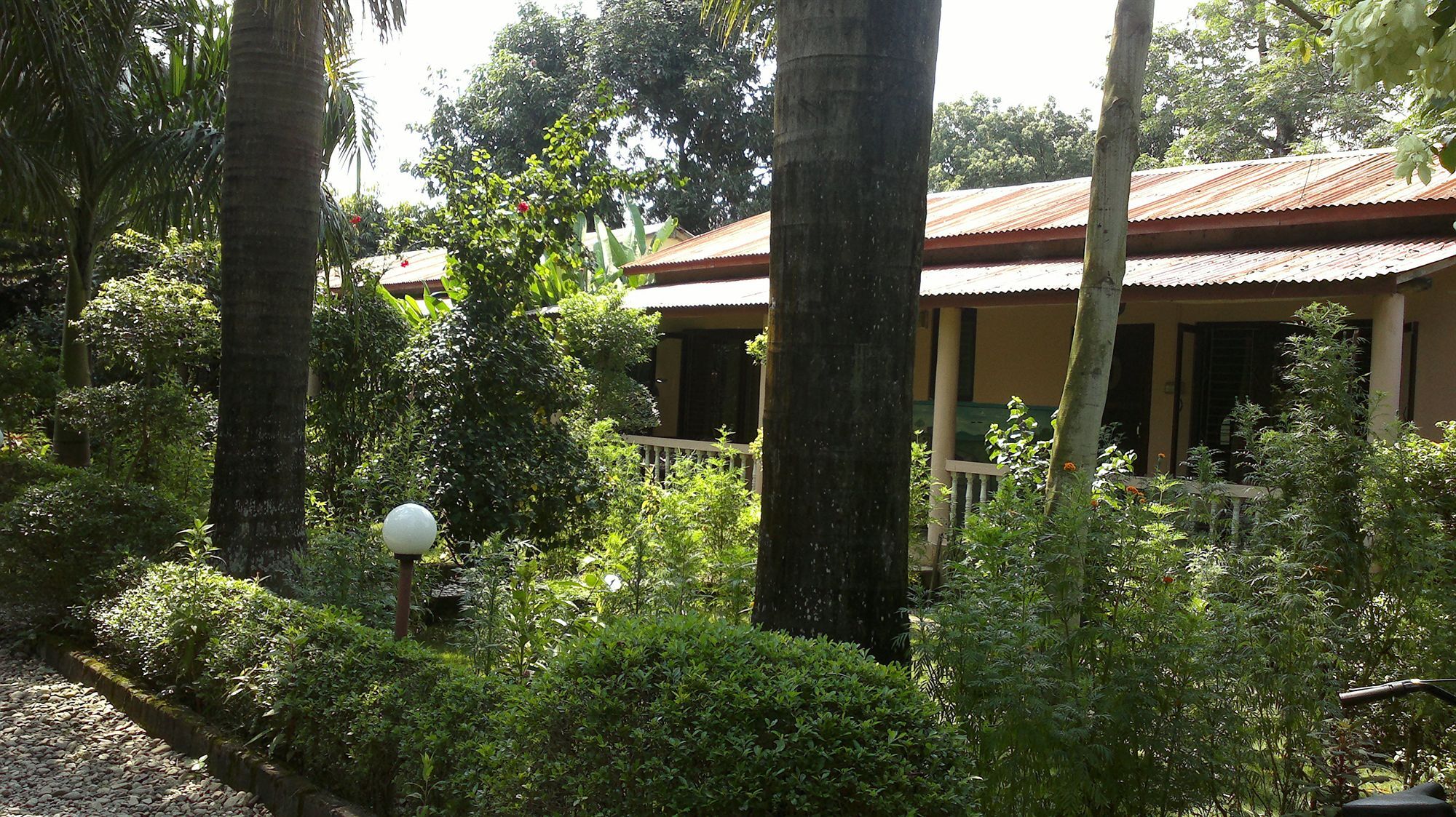 Hotel Ama Garden Sauraha Zewnętrze zdjęcie