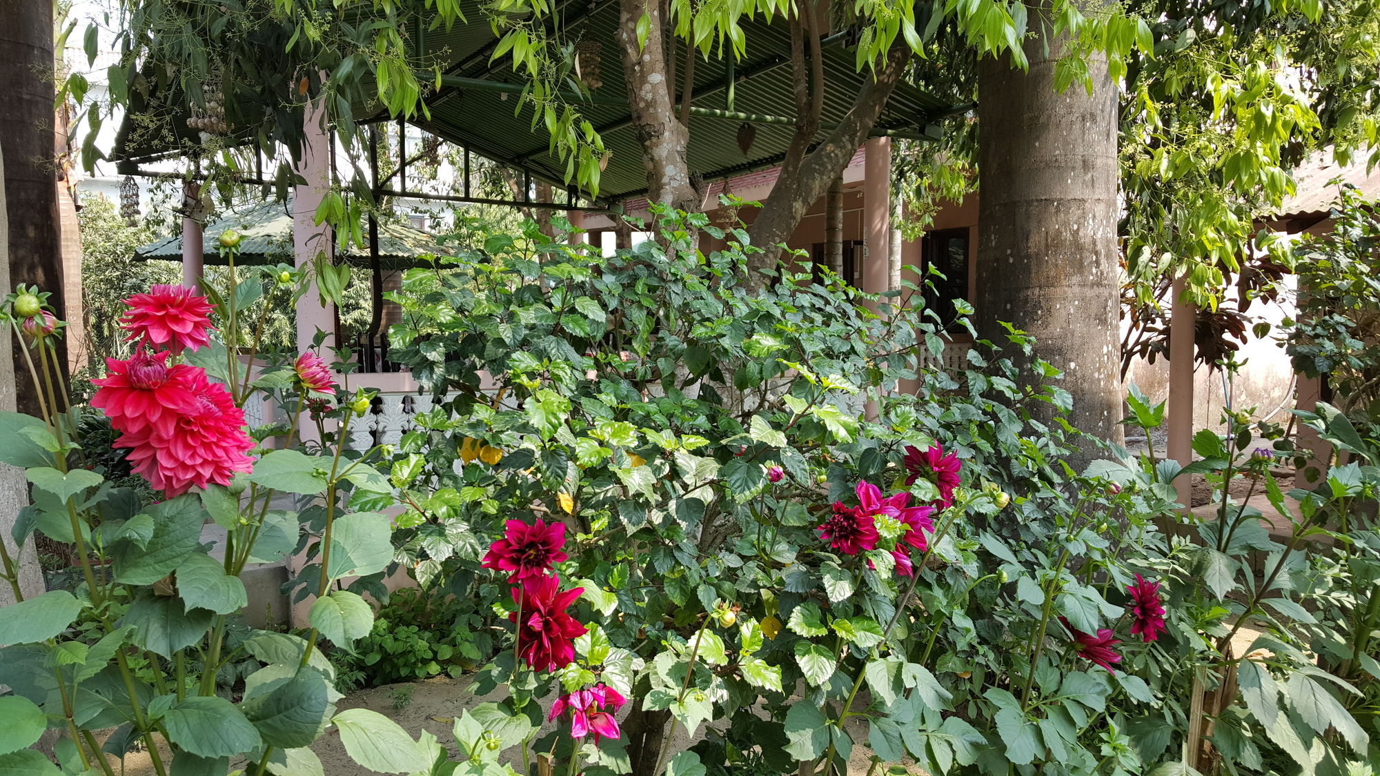 Hotel Ama Garden Sauraha Zewnętrze zdjęcie