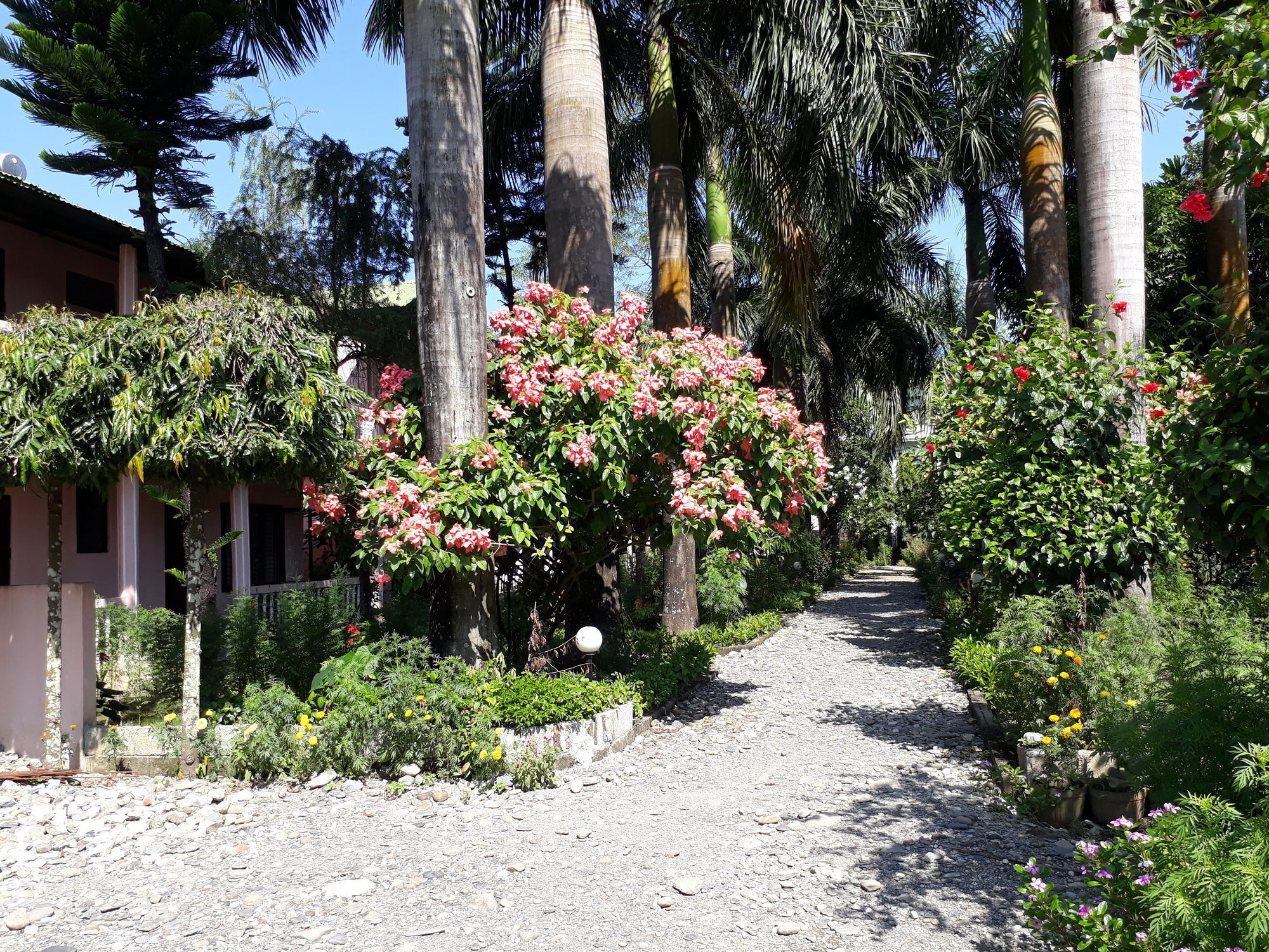 Hotel Ama Garden Sauraha Zewnętrze zdjęcie