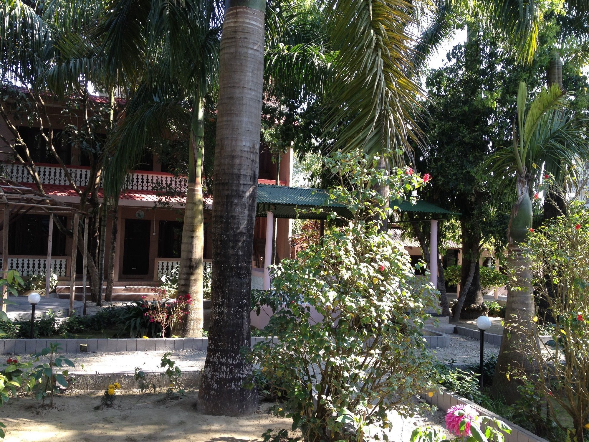 Hotel Ama Garden Sauraha Zewnętrze zdjęcie