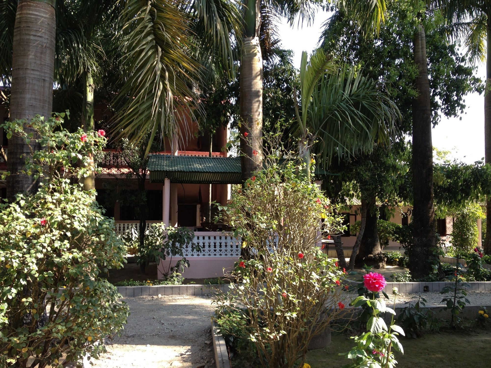 Hotel Ama Garden Sauraha Zewnętrze zdjęcie