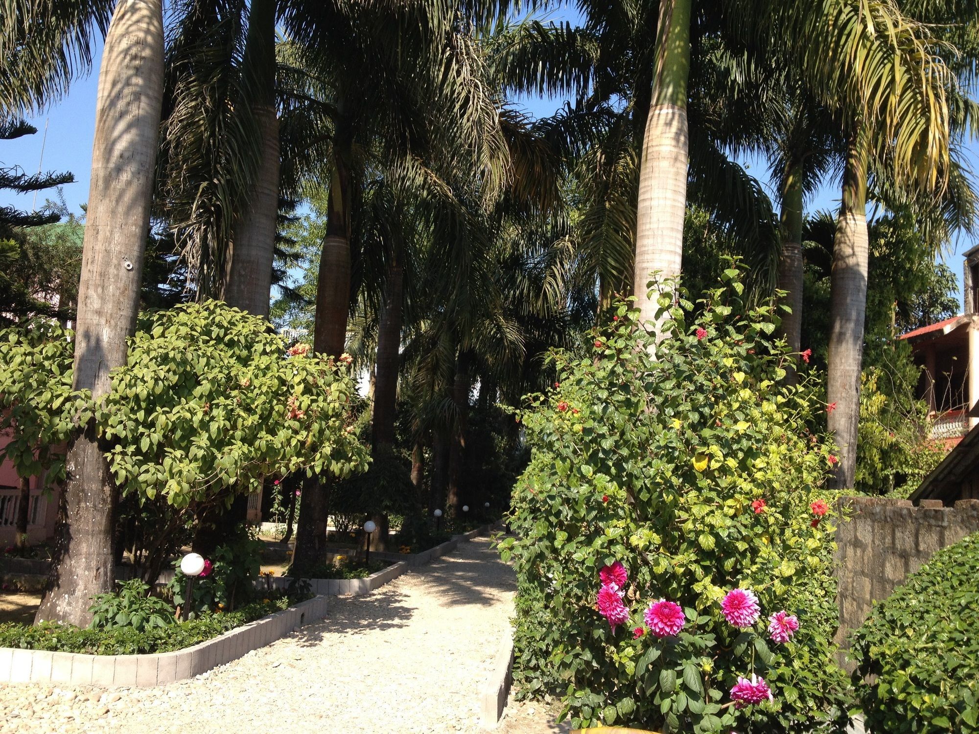 Hotel Ama Garden Sauraha Zewnętrze zdjęcie