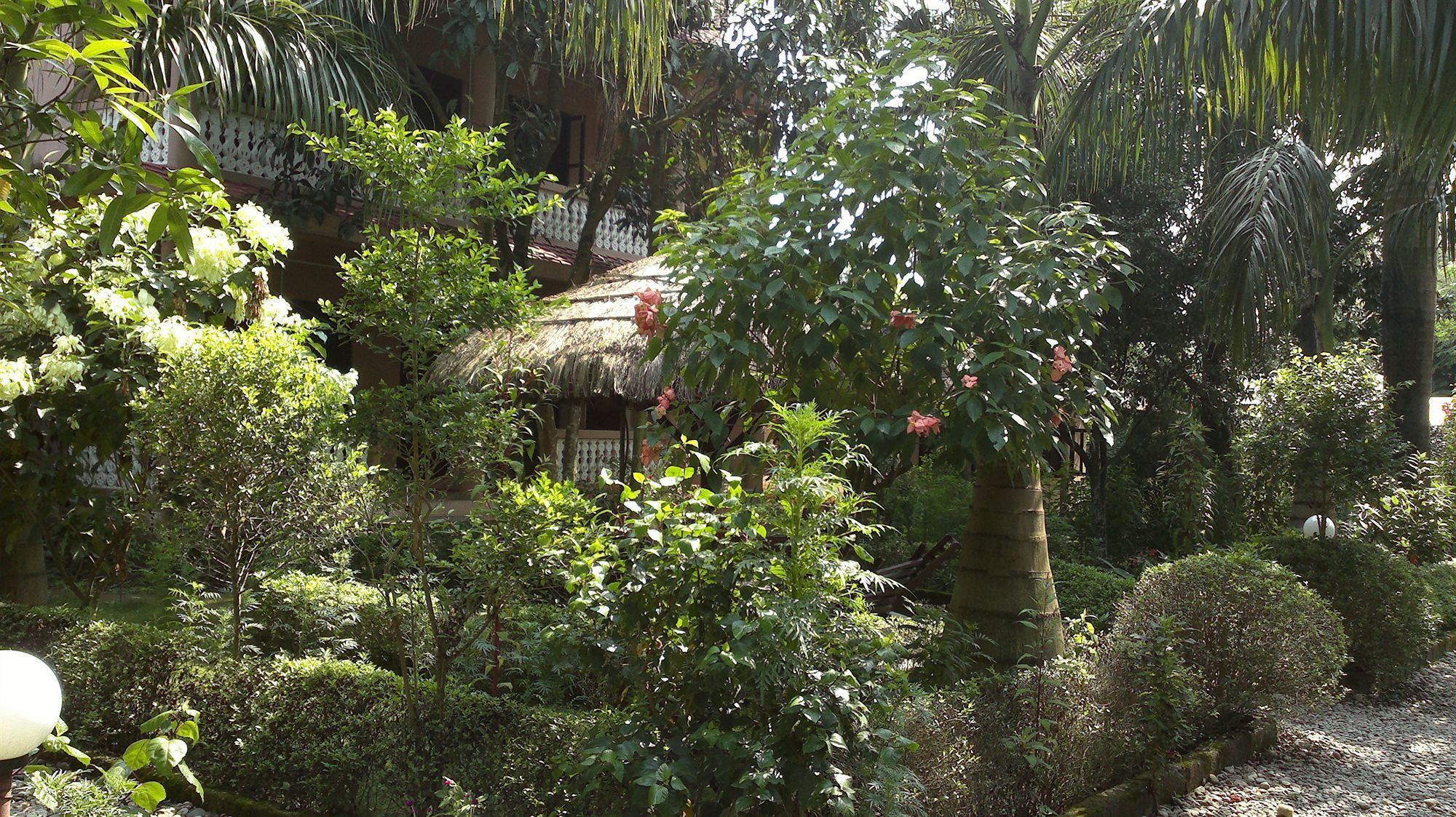Hotel Ama Garden Sauraha Zewnętrze zdjęcie