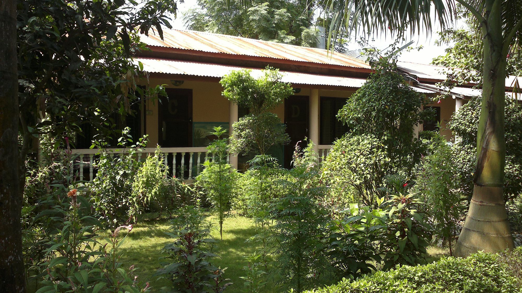 Hotel Ama Garden Sauraha Zewnętrze zdjęcie