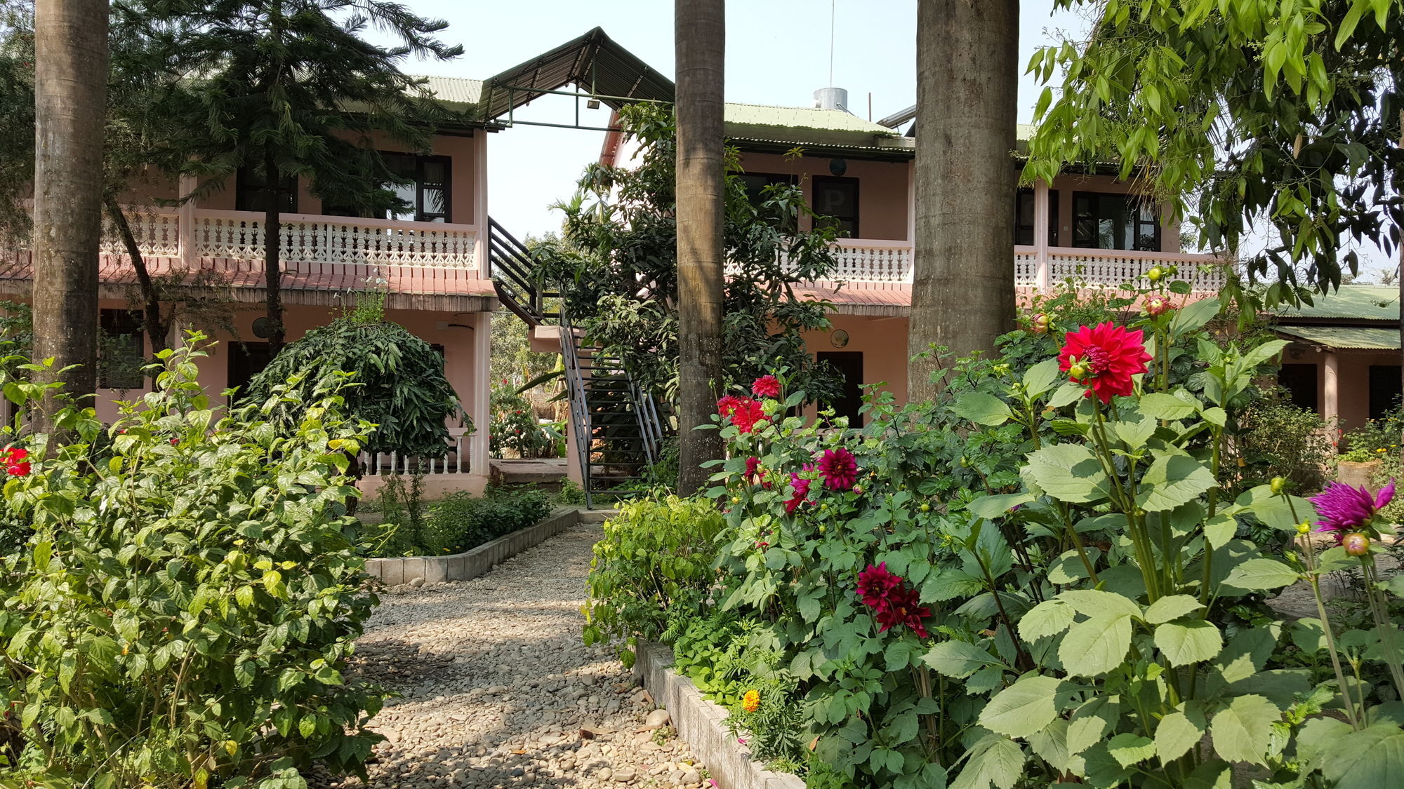 Hotel Ama Garden Sauraha Zewnętrze zdjęcie